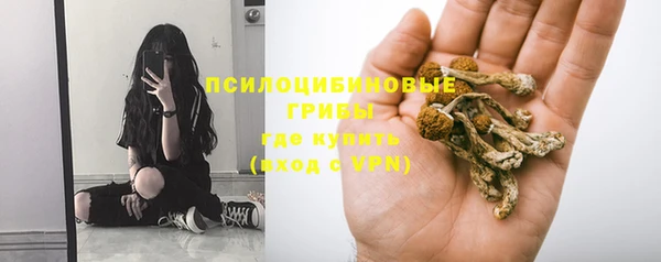 гидропоника Алексин