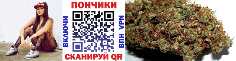 Бошки марихуана OG Kush  Купить где  Харабали 